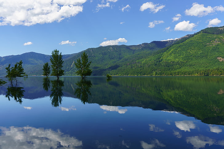 green leafed trees, landscape, water, reflection, trees, clouds, HD wallpaper