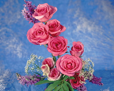 ピンクのバラ、バラ、花、歌、葉、背景、 HDデスクトップの壁紙 HD wallpaper
