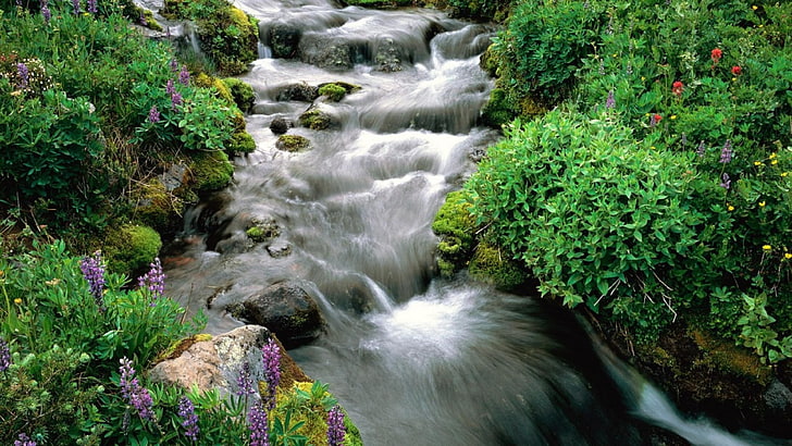 Mount Adams A Small Mountain River With Cascading Waterfalls Desktop Wallpaper Hd 3840×2160, HD wallpaper