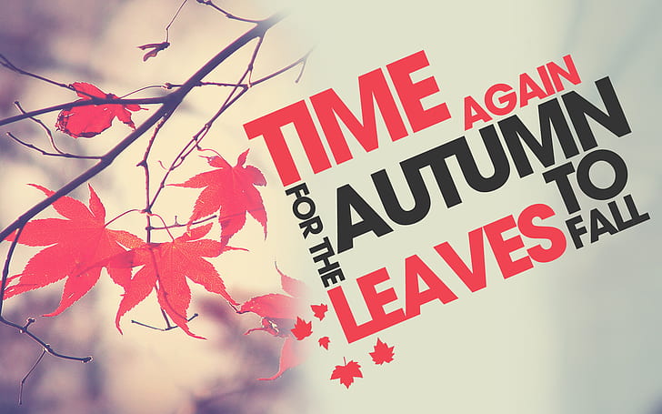 Autumn HD, time again for the leaves autumn to fall text, photography, autumn, HD wallpaper