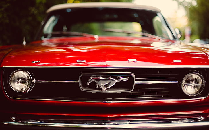 Червен Ford Mustang, ford mustang, класически автомобил, HD тапет