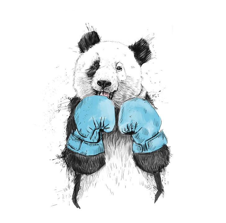 Panda minimalista, divertente, Sfondo HD