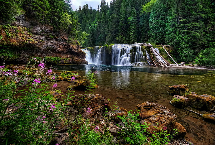 Waterfalls, Waterfall, Falls, Fishing, Flower, Forest, Plant, River, Rock, Tree, Water, HD wallpaper
