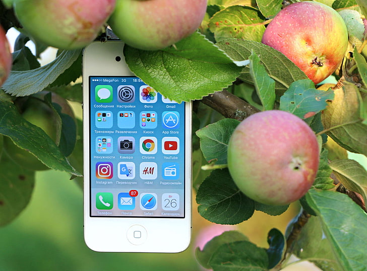 agriculture, apple, apple devices, apple tree, applications, blur, cellphone, close up, device, focus, food, fruit, iphone, leaves, mobile phone, outdoors, phone, production, screen, smartphone, touch screen, HD wallpaper