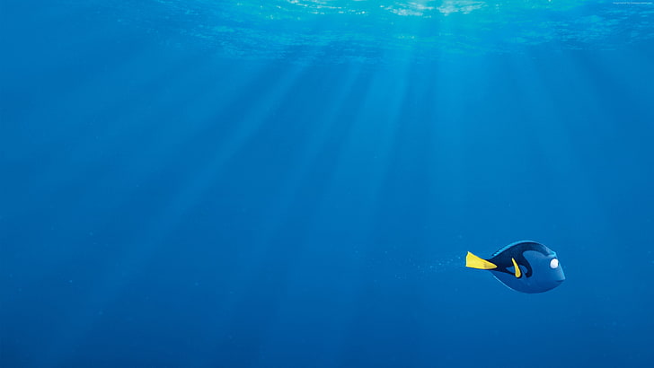 Pixar, pez, nemo, tiburón, animación, Finding Dory, Fondo de pantalla HD