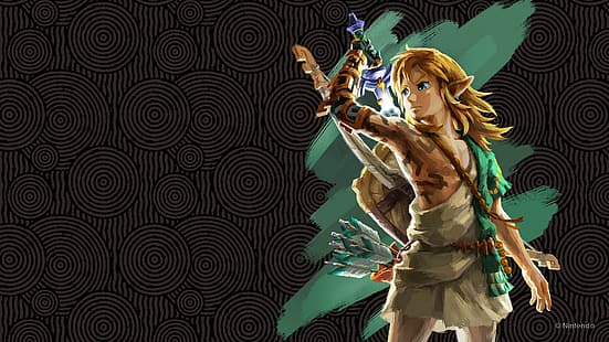 Nintendo, Legenda Zelda, Legenda Zelda: Air Mata Kerajaan, Master Sword, Wallpaper HD HD wallpaper