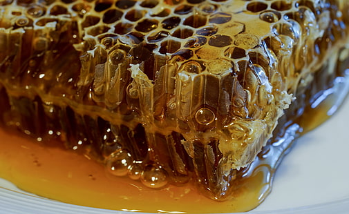 蜂蜜、お菓子、 HDデスクトップの壁紙 HD wallpaper
