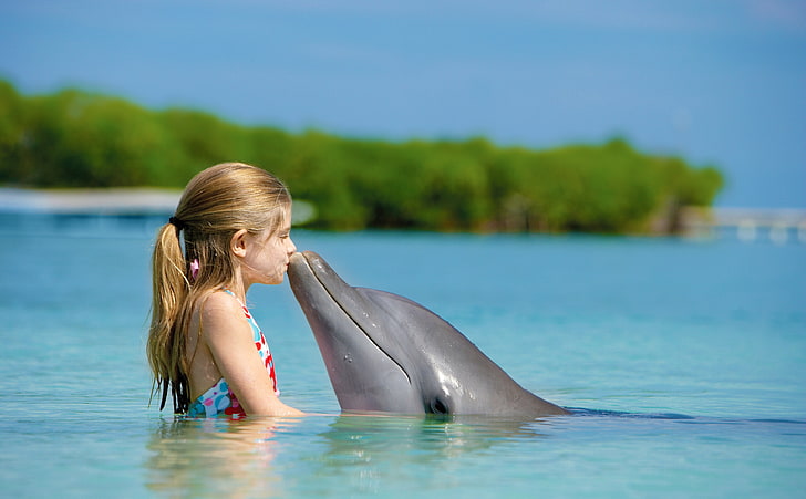 Amicizia, delfino grigio, carino, delfino, bacio, amici, bambino, ragazza bambina, Sfondo HD