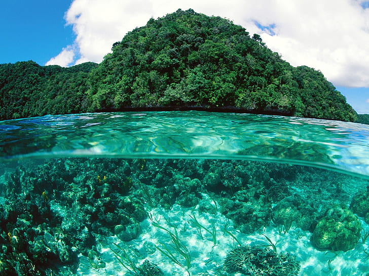 Insel, Kalkstein, Palau, HD-Hintergrundbild