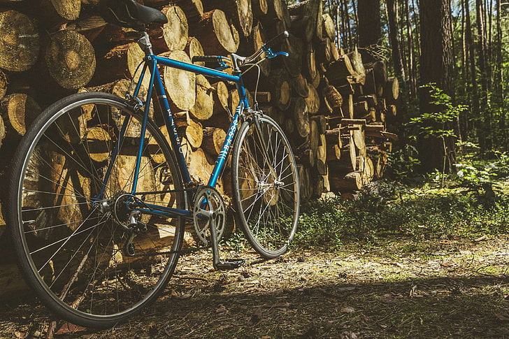 bicycle, bike, brakes, classic, customized, cycling, daylight, design, firewoods, fixed gear, frame, high speed, hipster, logs, motion, oldtimer, outdoors, racing, racing bike, retro, road, rusty, speed, steel, style, ti, HD wallpaper