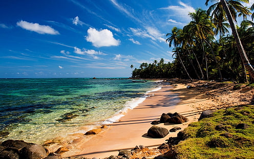 Тропически, плаж, море, палми, камъни, мъх, тропически, плаж, море, палма, дървета, камъни, мъх, HD тапет HD wallpaper