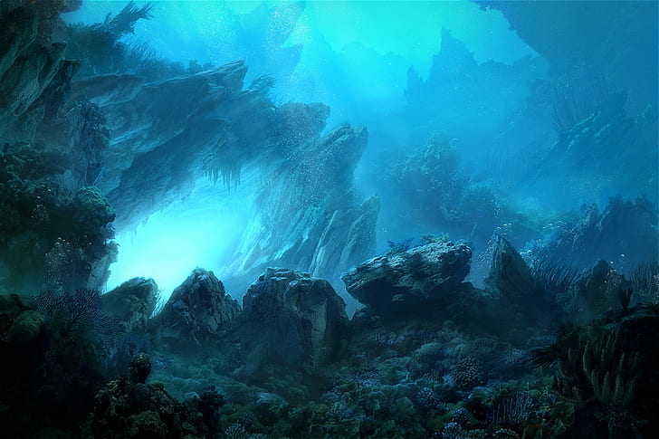 underwater, HD wallpaper
