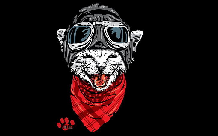 Der glückliche Abenteurer, rot, Fantasie, schwarz, Schal, jun087, Katze, pisica, Hut, HD-Hintergrundbild