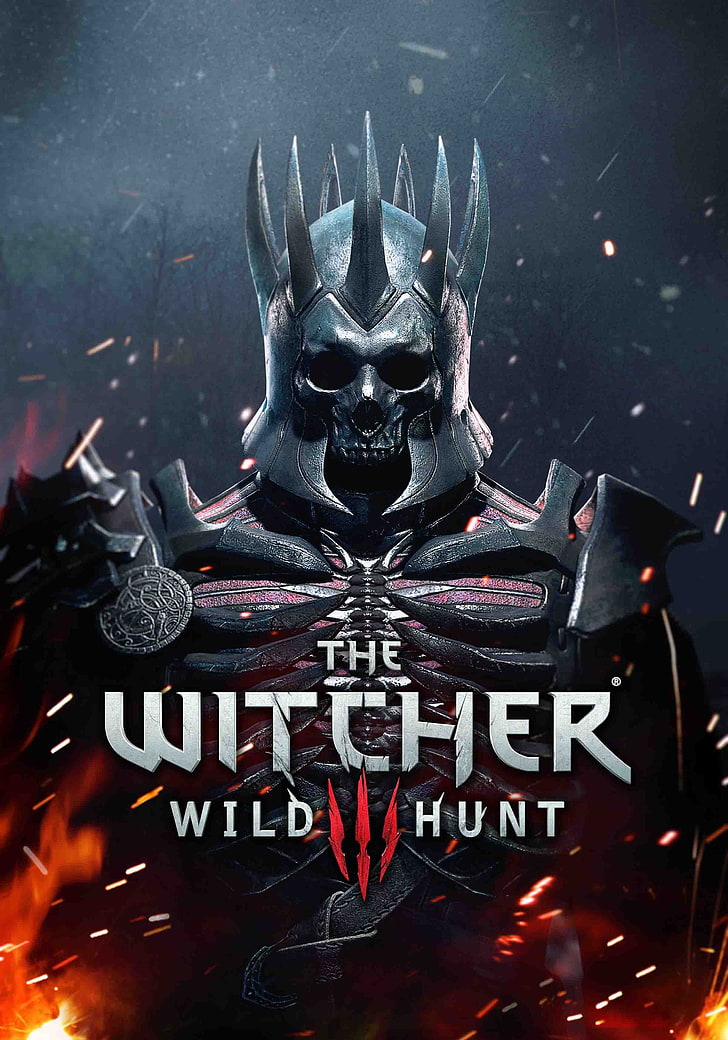 El cartel de The Witcher Wild Hunt III, The Witcher 3: Wild Hunt, Fondo de pantalla HD, fondo de pantalla de teléfono