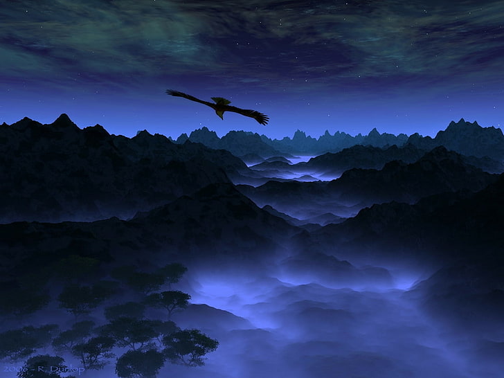 BIRD BLUE SOARING Nature Sky HD Art , Bird, Blue, night, sky, mountains, foggy, HD wallpaper