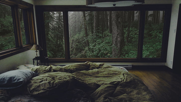 ventana de vidrio con marco de madera marrón, dormitorio, bosque, interior, Fondo de pantalla HD