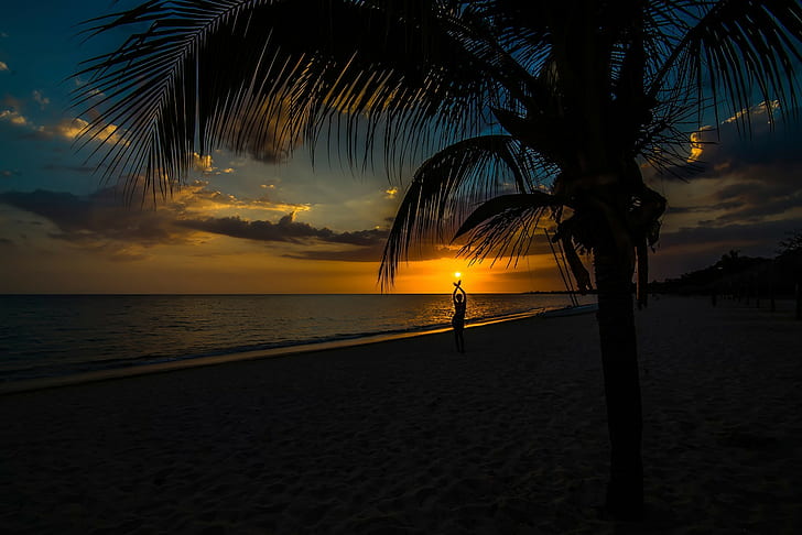 solnedgång, mörk, palmer, strand, himmel, hav, armar upp, solljus, HD tapet