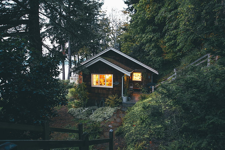 흰색과 검은 색 집, 나무, 집, 오두막, 숲, HD 배경 화면