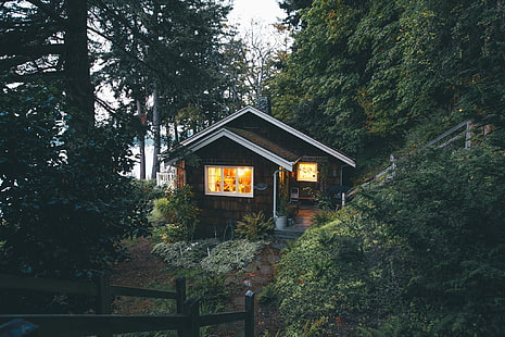 casa blanca y negra, árboles, casa, cabaña, bosque, Fondo de pantalla HD HD wallpaper