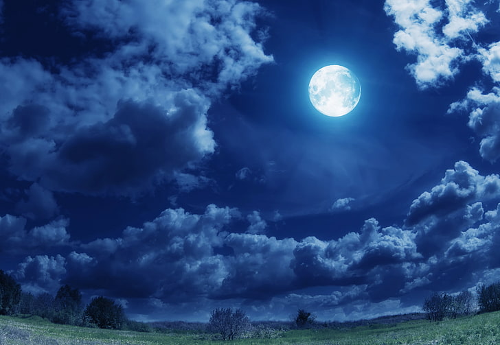 moon and green grass field, field, clouds, trees, lights, the moon, the full moon, HD wallpaper