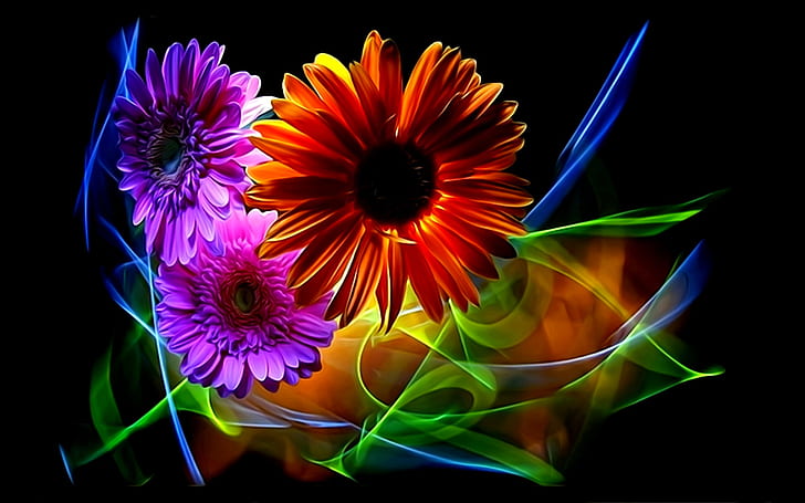 flowers, abstraction, rendering, petals, black background, gerbera, picture, neon light, floral fantasy, lines of light, HD wallpaper