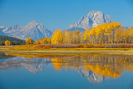 Grand Teton Milli Parkı HD, sarı ağaç ormanı, ağaçlar, Grand Teton Milli Parkı, Wyoming, ABD, Doğa, Göl, Sonbahar, Moran Dağı, HD masaüstü duvar kağıdı HD wallpaper