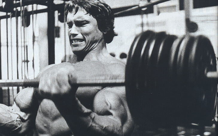 Arnold Schwarzenegger, musculation, culturiste, haltères, gymnases, exercice, Fond d'écran HD