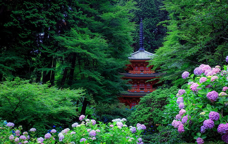 plante à feuilles vertes et violettes, architecture asiatique, pagode, arbres, forêt, plantes, fleurs, feuilles, Japon, hortensia, Fond d'écran HD