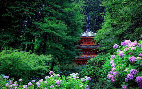 zielono-fioletowa roślina liściasta, architektura azjatycka, pagoda, drzewa, las, rośliny, kwiaty, liście, Japonia, hortensja, Tapety HD HD wallpaper