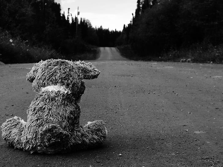 road sad teddy bears 1920x1440  Animals Bears HD Art , road, sad, HD wallpaper