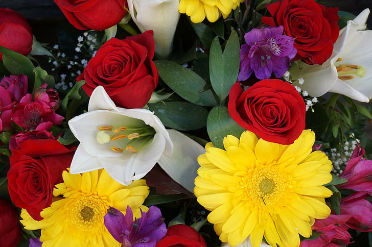 Flores, Flor, Primer plano, Colorido, Colores, Gerbera, Naturaleza, Flor roja, Rosa, Tulipán, Flor blanca, Flor amarilla, Fondo de pantalla HD