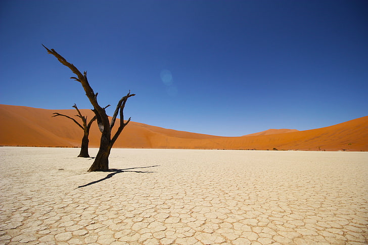 Désert du Namib, 4 km, désert côtier, Fond d'écran HD