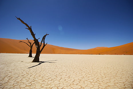 Namib Desert, 4K, Coastal desert, HD wallpaper HD wallpaper
