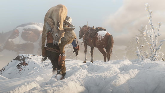 Red Dead Redemption, Rockstar Spiele, Red Dead Redemption 2, HD-Hintergrundbild HD wallpaper