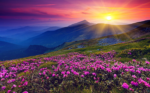 Sole che splende sulle colline, sole, angolo del sole, paesaggio del tramonto, Sfondo HD HD wallpaper