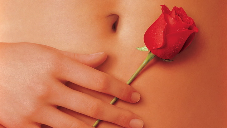 fiore di rosa rossa, bellezza americana, film, mani, rosa, fiori, ombelici, fiori rossi, Sfondo HD