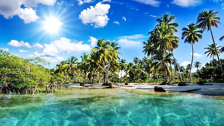 палми, лагуна, океан, дърво, палмово дърво, море, Карибите, палма, небе, плаж, тропици, природа, щастлив, лято, пясък, вода, слънце, HD тапет