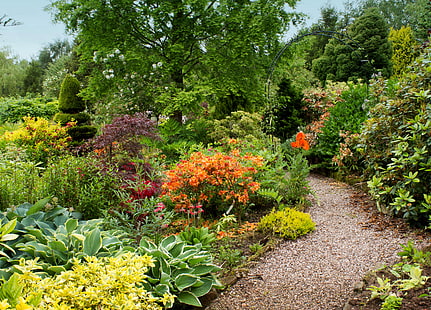 greens, leaves, trees, flowers, garden, UK, gravel, path, the bushes, Mount Pleasant gardens, HD wallpaper HD wallpaper