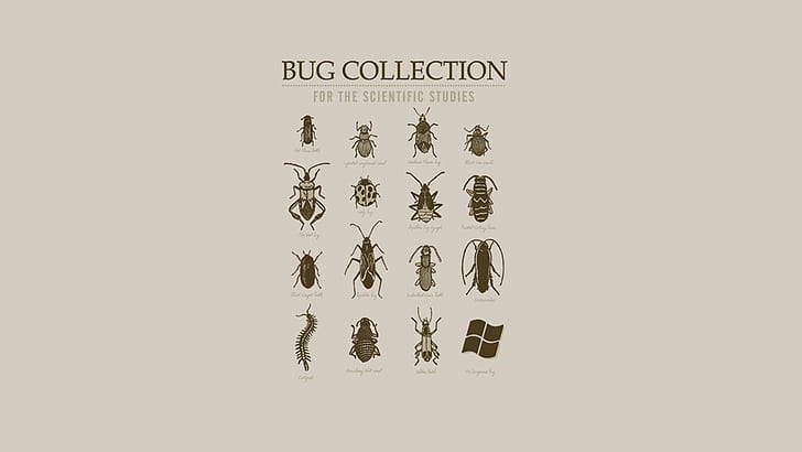 karya seni bug minimalis microsoft windows fun art 1920x1080 Hewan Bugs HD Art, minimalis, bug, Wallpaper HD