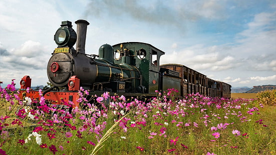 влак, цвете, локомотив, парен локомотив, пролет, ливада, реколта, железопътен транспорт, поле, писта, диви цветя, трева, пейзаж, дърво, HD тапет HD wallpaper