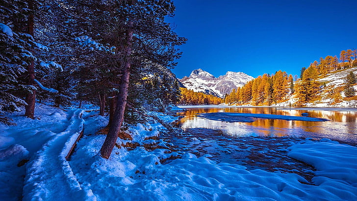 lake, snow, tree, switzerland, europe, lakeside, palpuogna, blue sky, water, sky, freezing, mountain, mount scenery, HD wallpaper