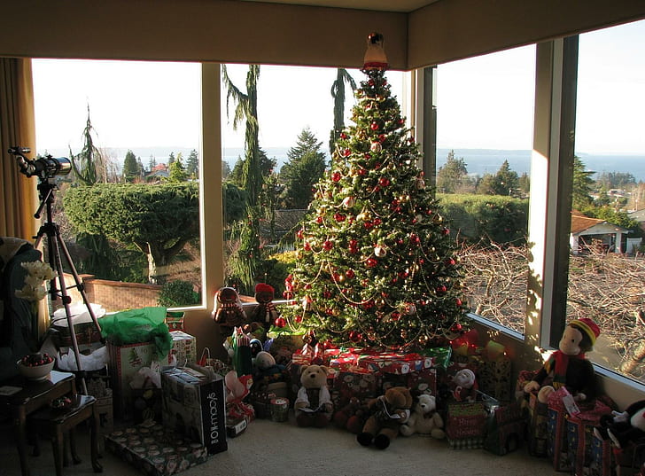 christmas tree, gifts, toys, home, glass, holiday, christmas, christmas tree, gifts, toys, home, glass, holiday, christmas, HD wallpaper