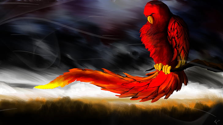 1080p, paint Cool, red Parrots, HD wallpaper
