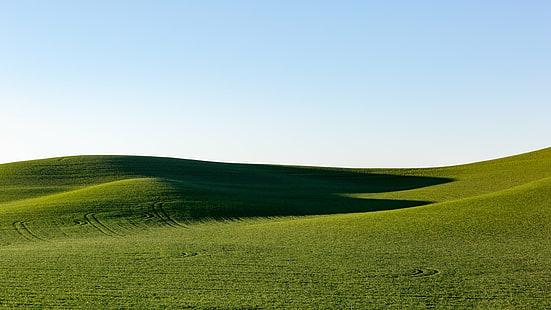 green grass mountains, Continuity, green grass, grass mountains, landscape, field, wheat, shadows, rolling hills, Palouse, Pacific Northwest, nature, Canon EOS 5D Mark III, III  john, westrock, Canon EF, 70mm, f/2, USM, washington, rural Scene, agriculture, hill, summer, land, meadow, outdoors, green Color, sky, farm, landscaped, tuscany, grass, scenics, italy, HD wallpaper HD wallpaper