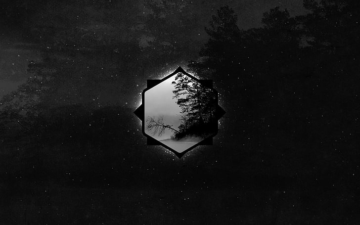 회색조 나무 배경 화면, 형상, 어둠, 숲, 흑백, 디지털 아트, HD 배경 화면