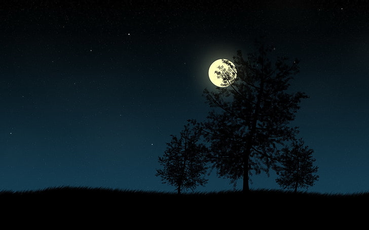 tall tree and full moon, Moon, trees, night, HD wallpaper