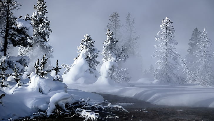 Mystic Winter (hdtv), arroyo, es genial, hdtv 1080p, árbol, mystik, frío, hd 1080p, invierno, 3d y abstracto, Fondo de pantalla HD