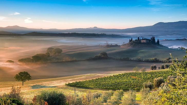 Italia, Toscana, árbol solitario, verano, campos, cielo, viajes, Europa, paisaje, Fondo de pantalla HD