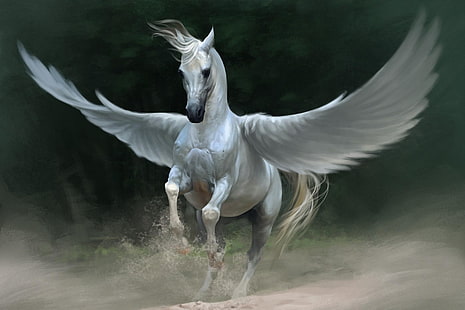 ورق حائط بيغاسوس أبيض ، بيغاسوس ، حصان ، أجنحة، خلفية HD HD wallpaper