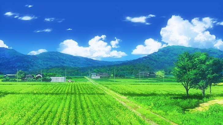 снимка на зелено оризово поле, Non Non Biyori, поле, HD тапет